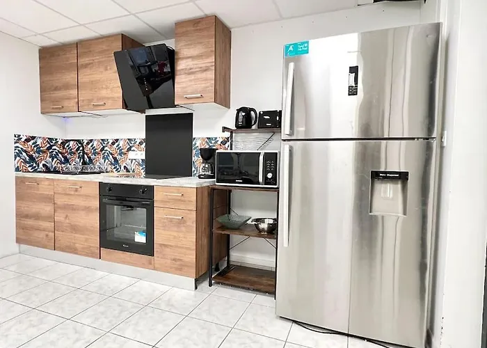 Apartment Le Grand Penon ~ Spacieux A 6 Min Du Parc Saint-Georges-les-Baillargeaux